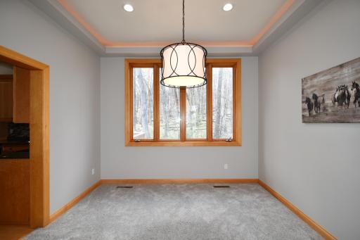 tray ceiling with backlighting