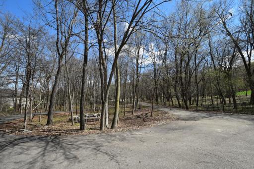 Asphalt circle drive & firepit