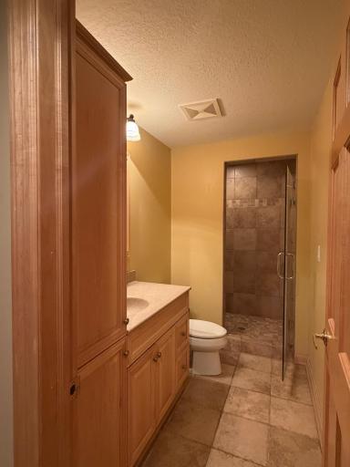 Walk-in shower with glass door