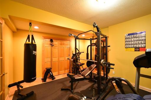 Home gym-gym equipment will convey with the property