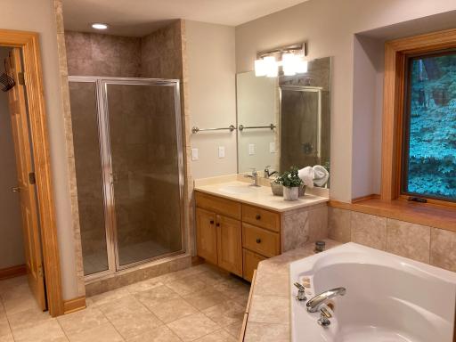 tiled shower and separate dual vanities