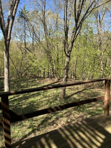 another view off of the main floor deck area