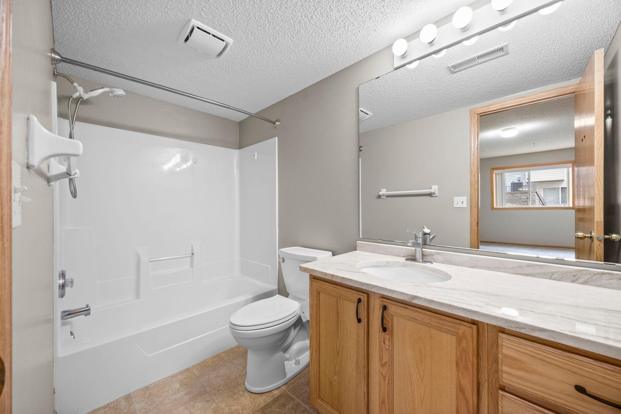 Lower level full bathroom