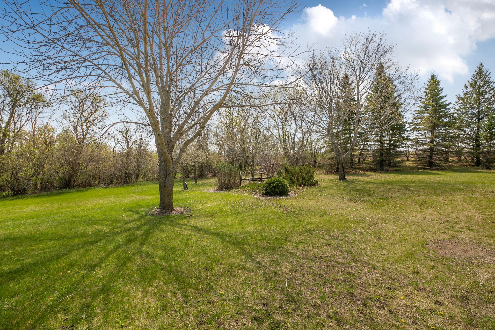 Partial view of the back yard...