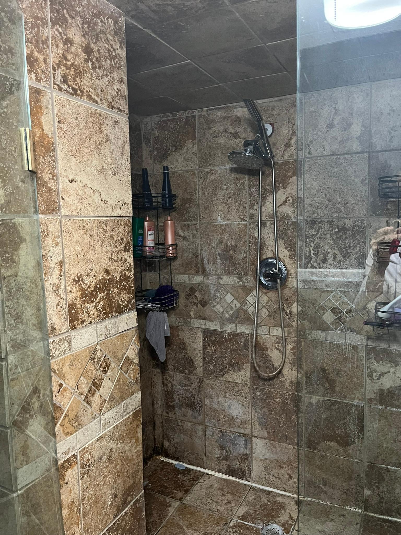 IMG_3646.JPEG