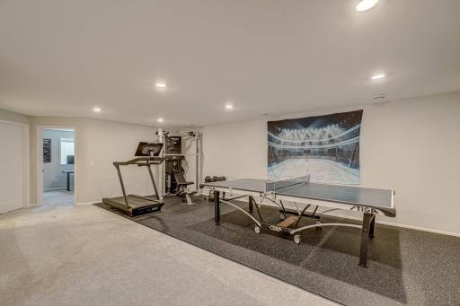 The finished lower level offers functional space for an additional living room.