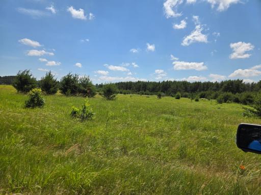 14195 160th Avenue, Little Falls, MN 56345