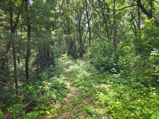 One of several trails - be sure to click on the video of the tour of the trails.