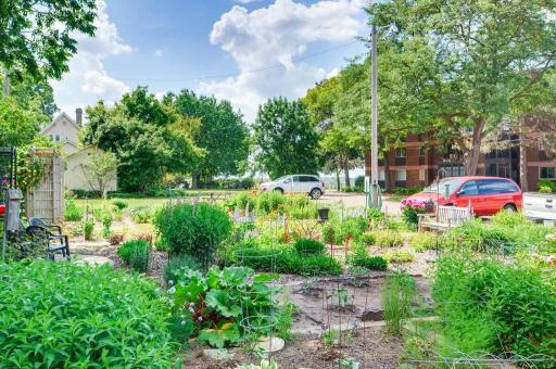 334 Cherokee Ave - Community Garden 3-1024x768-72dpi.jpg