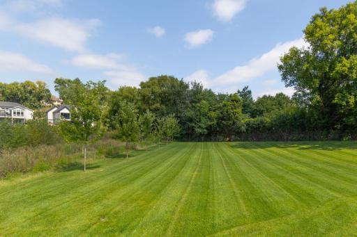 Breath-taking, serene lot! So much privacy!