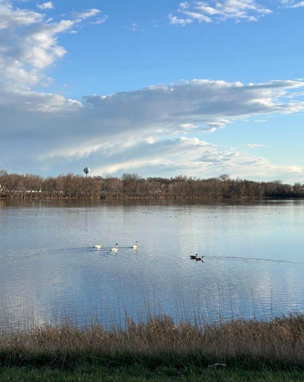 Image 4-8-26 at 10.54 AM.jpg