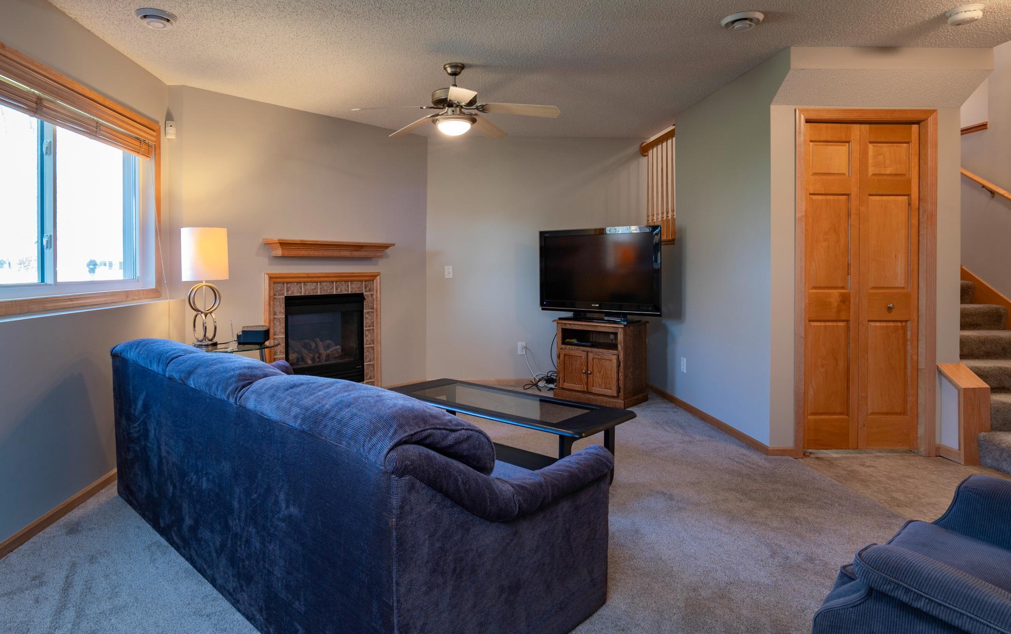Lower Level Family Room W/ Gas Fireplace