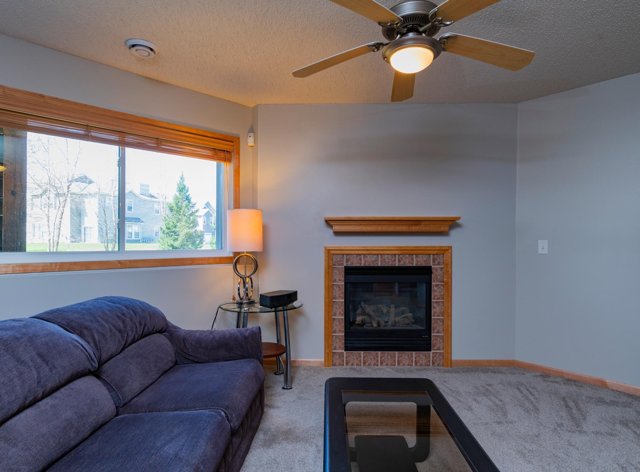 Lower Level Family Room W/ Gas Fireplace