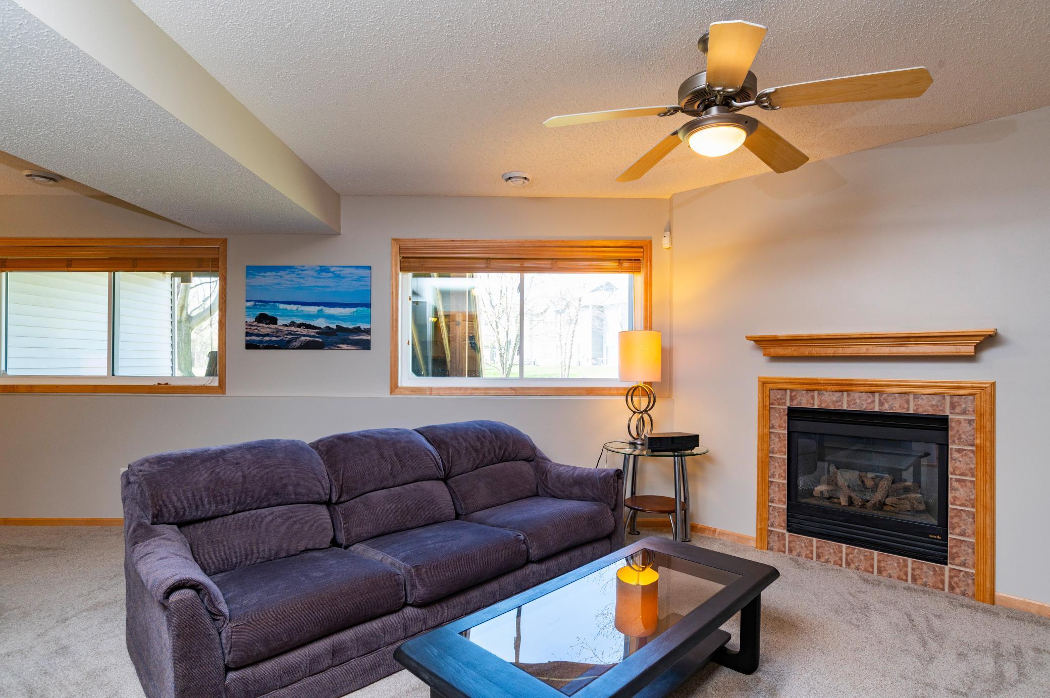 Lower Level Family Room W/ Gas Fireplace