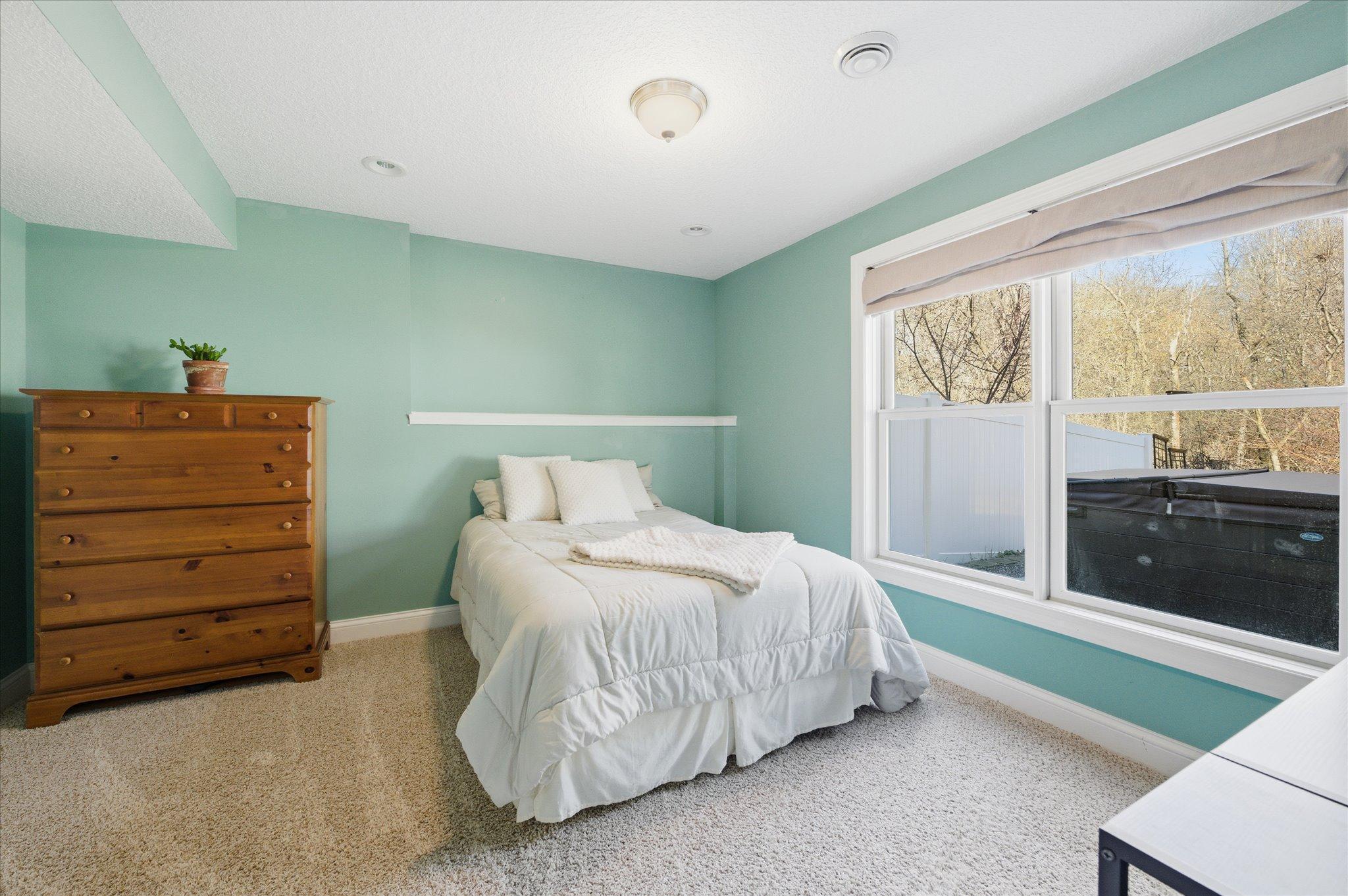 Fifth bedroom (lower level) with walk in closet