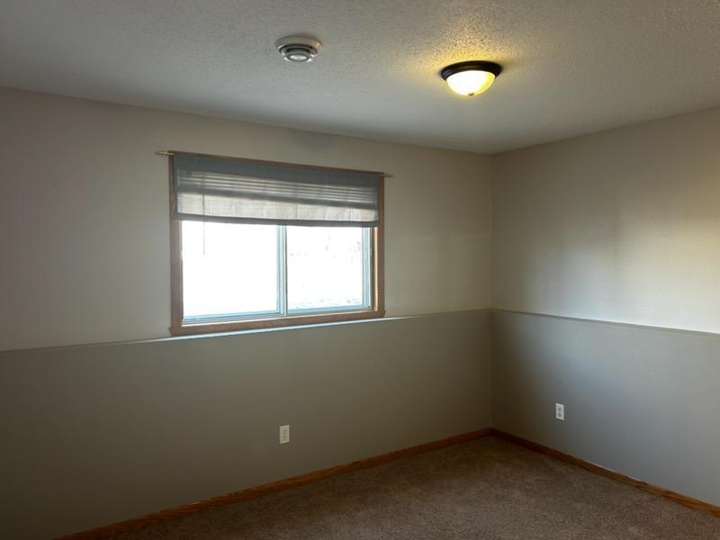 Family room lower level