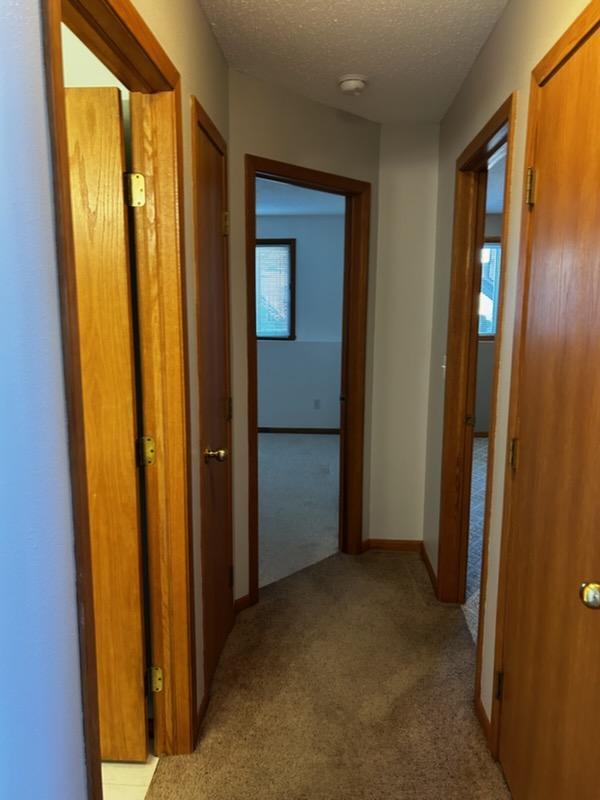 Hallway to bedrooms lower level
