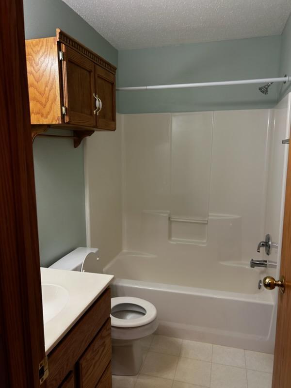 Lower level full bathroom