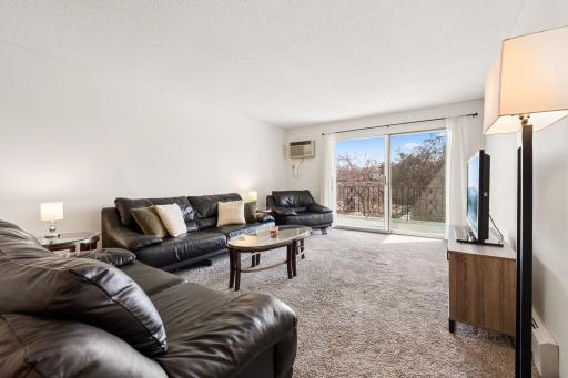 Another view of the living room, this unit can accommodate different sizes and shapes of furniture, neutral paint and carpet bring your own ideas.