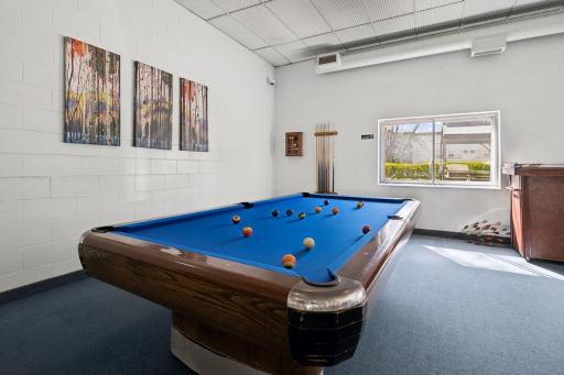 Near the party room is pool table and ping pong.