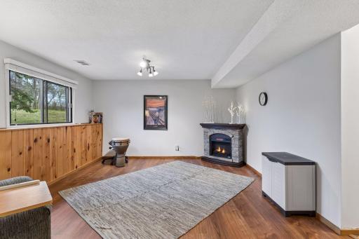 Lower level entertainment room