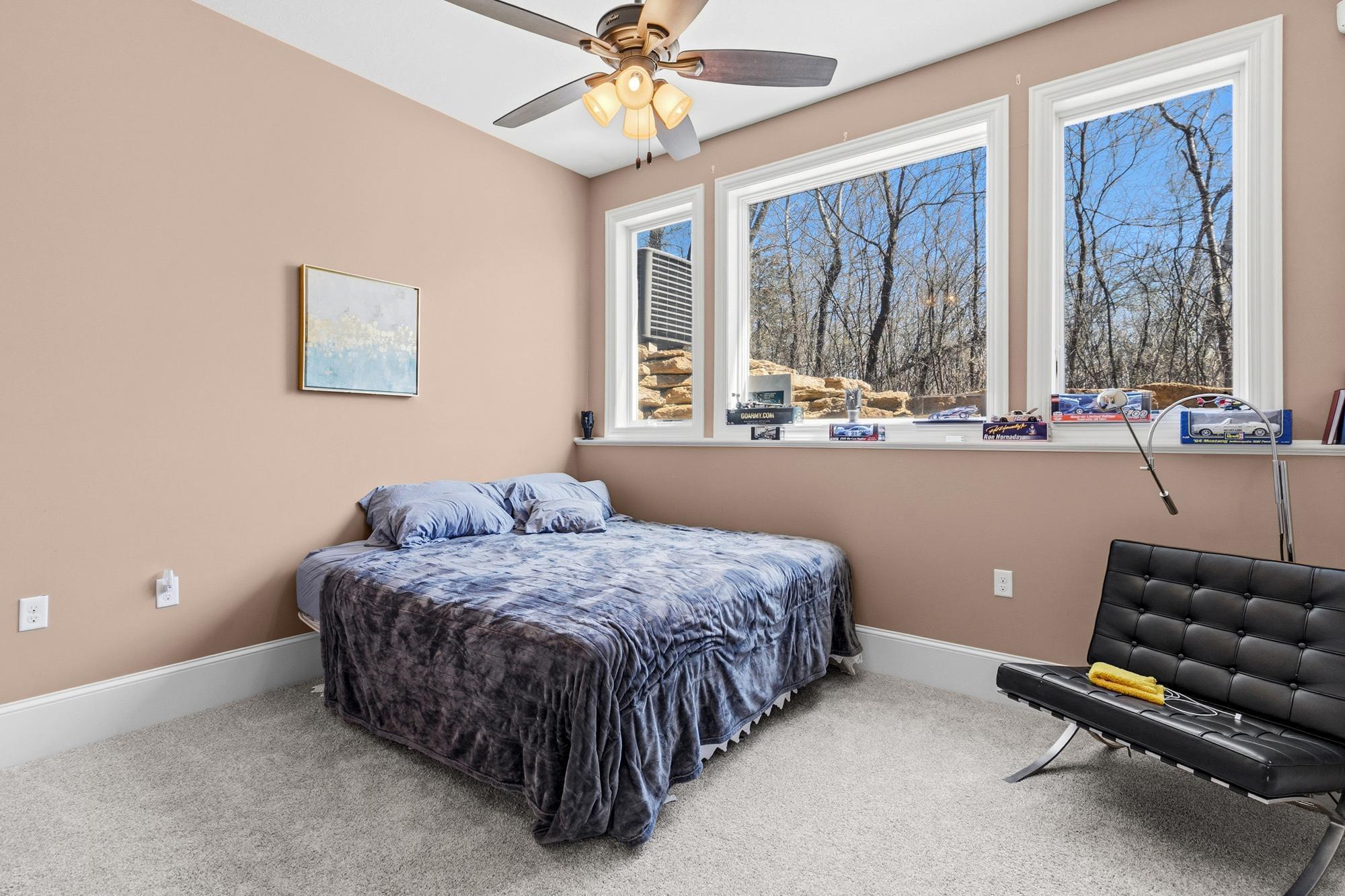 22 - Lower Level Bedroom.jpg