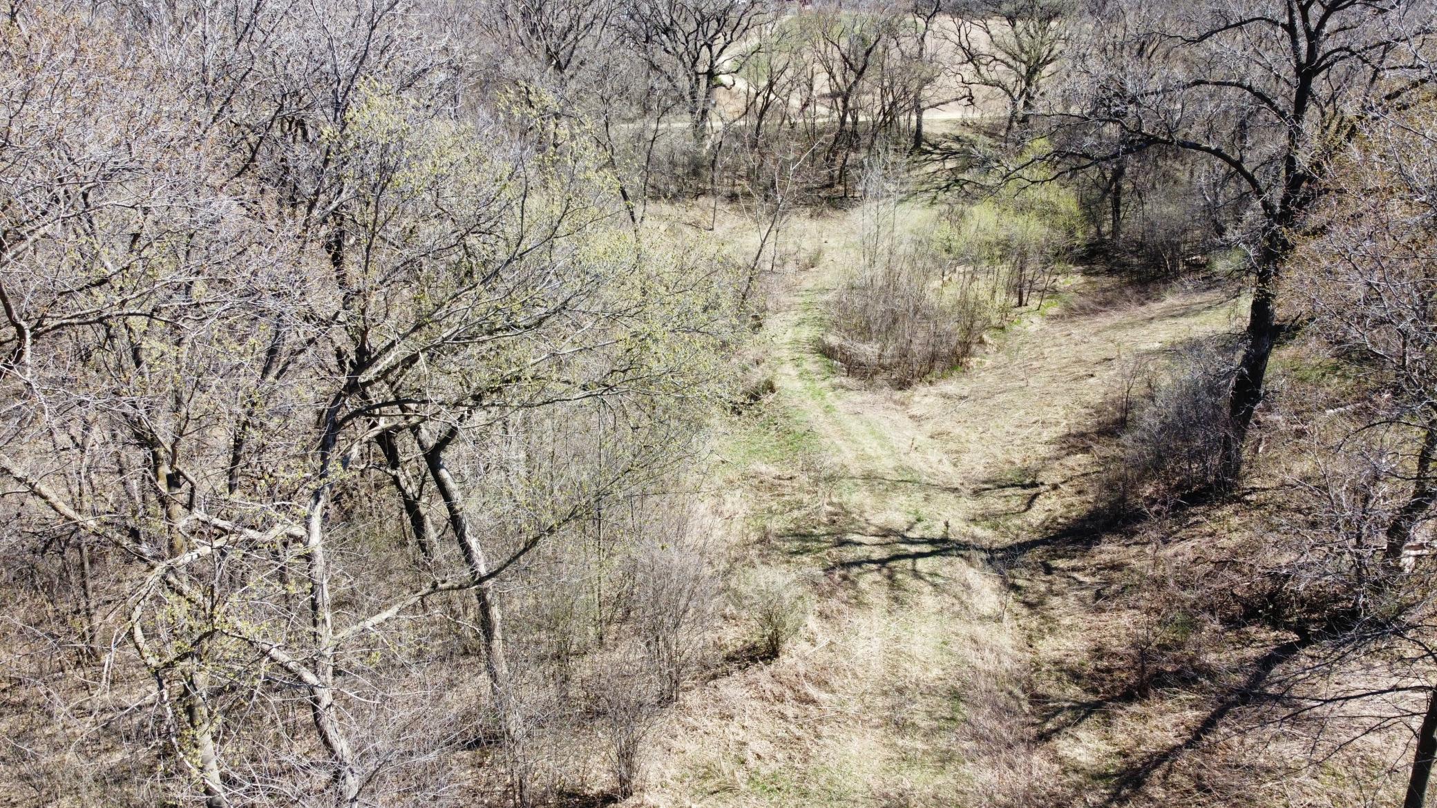 dji_fly_20260416_123652_517_1776364085641_photo_optimized.JPG