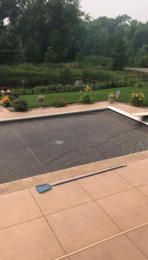 Many beautiful perennials