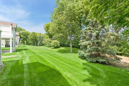 Green space behind the home