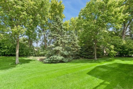 The backyard setting offers a wonderful blend of privacy and open green space with mature trees creating a serene backdrop.