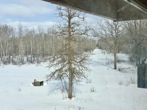 Photo Feb 21 2026, 11 55 34 AM.jpg