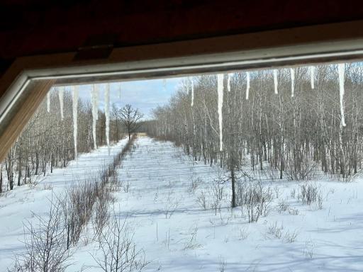 Photo Feb 21 2026, 11 55 44 AM.jpg