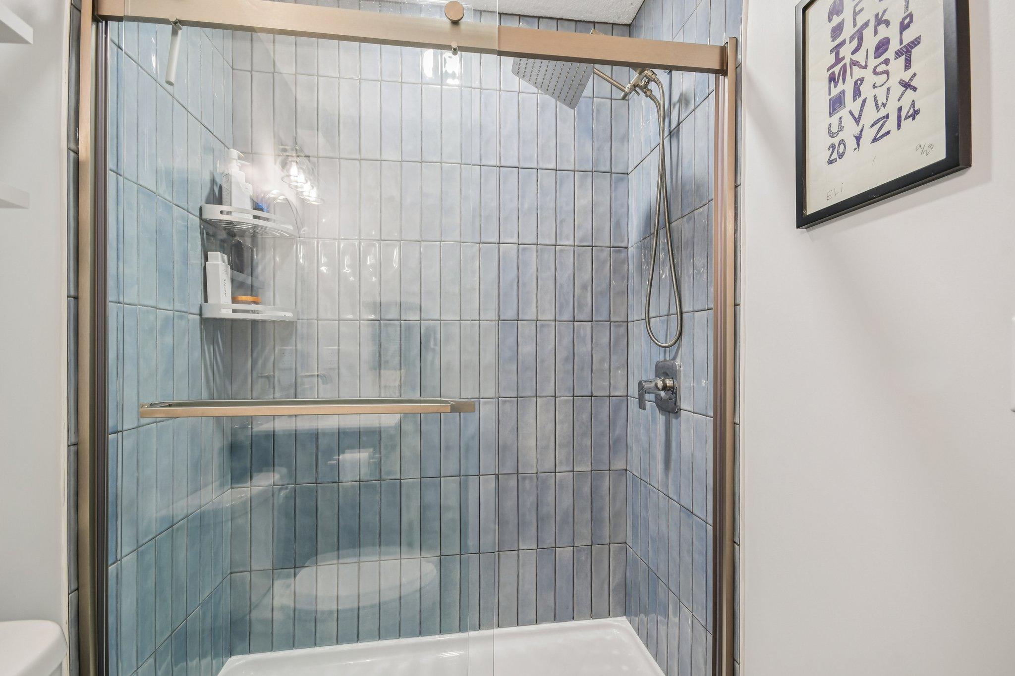 24-web-or-mls-Carroll Ave-S0409-024.jpg