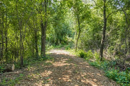 Groomed walking trail on the 2nd island. No need to go to the dog park anymore!