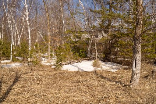 24562 NE Rock Lake Road, Rochert, MN 56578