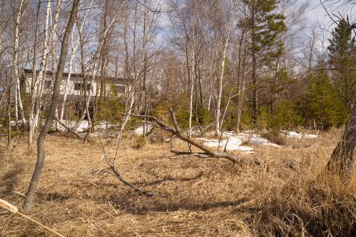 24562 NE Rock Lake Road, Rochert, MN 56578