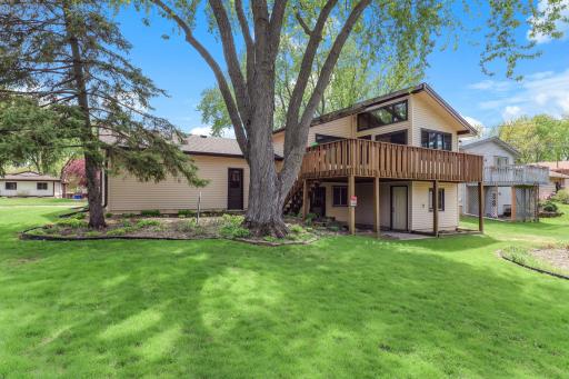 A mature tree centers the back of the home, with the deck floating above a lower-level entry and the sunroom's wall of windows behind.