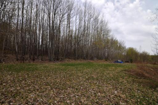 Walker, MN 56484