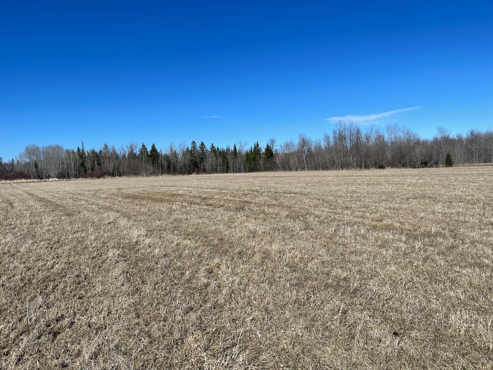 Field