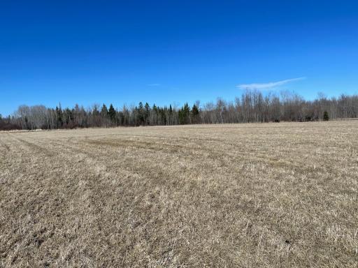 Field