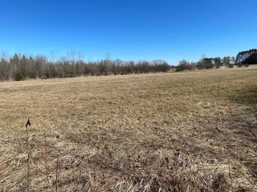 Field