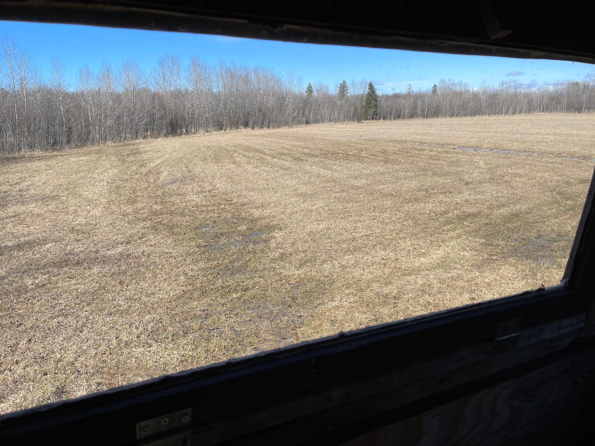 From Deer stand