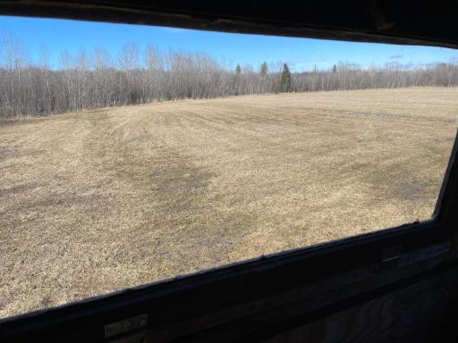 From Deer stand