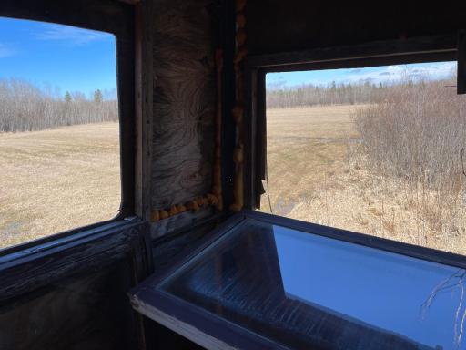 From Deer stand