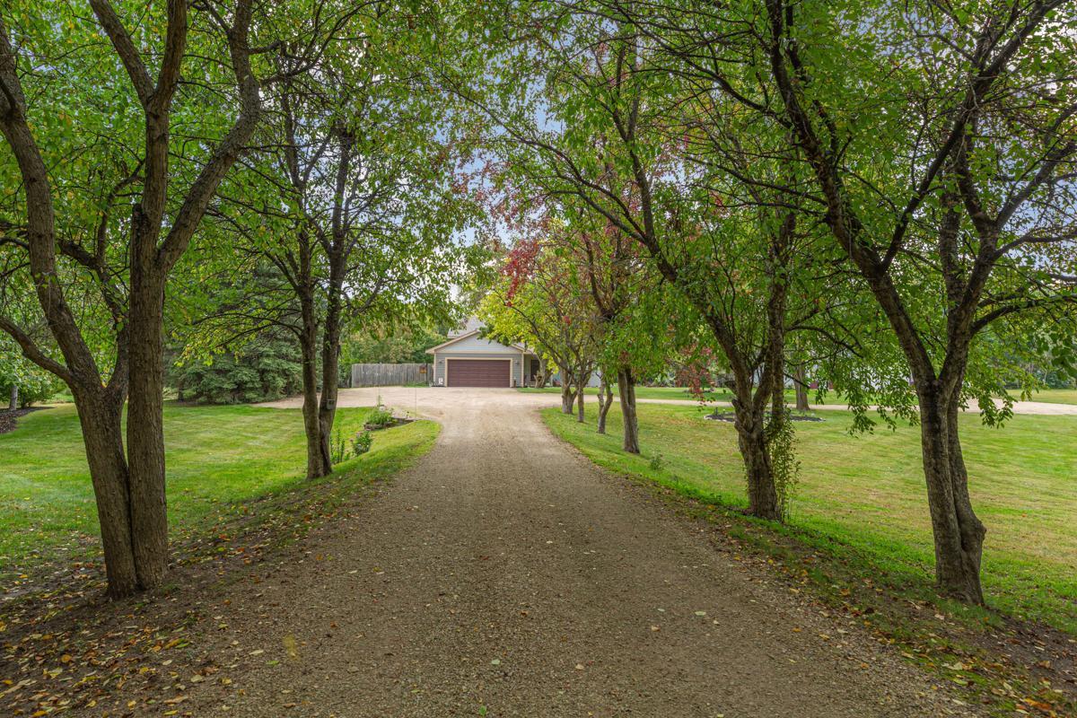 An unforgettable idyllic drive up to the home off of a tar road - no dirty cars!