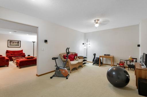 This lower level is the ideal recreation space and includes a separate home gym space!