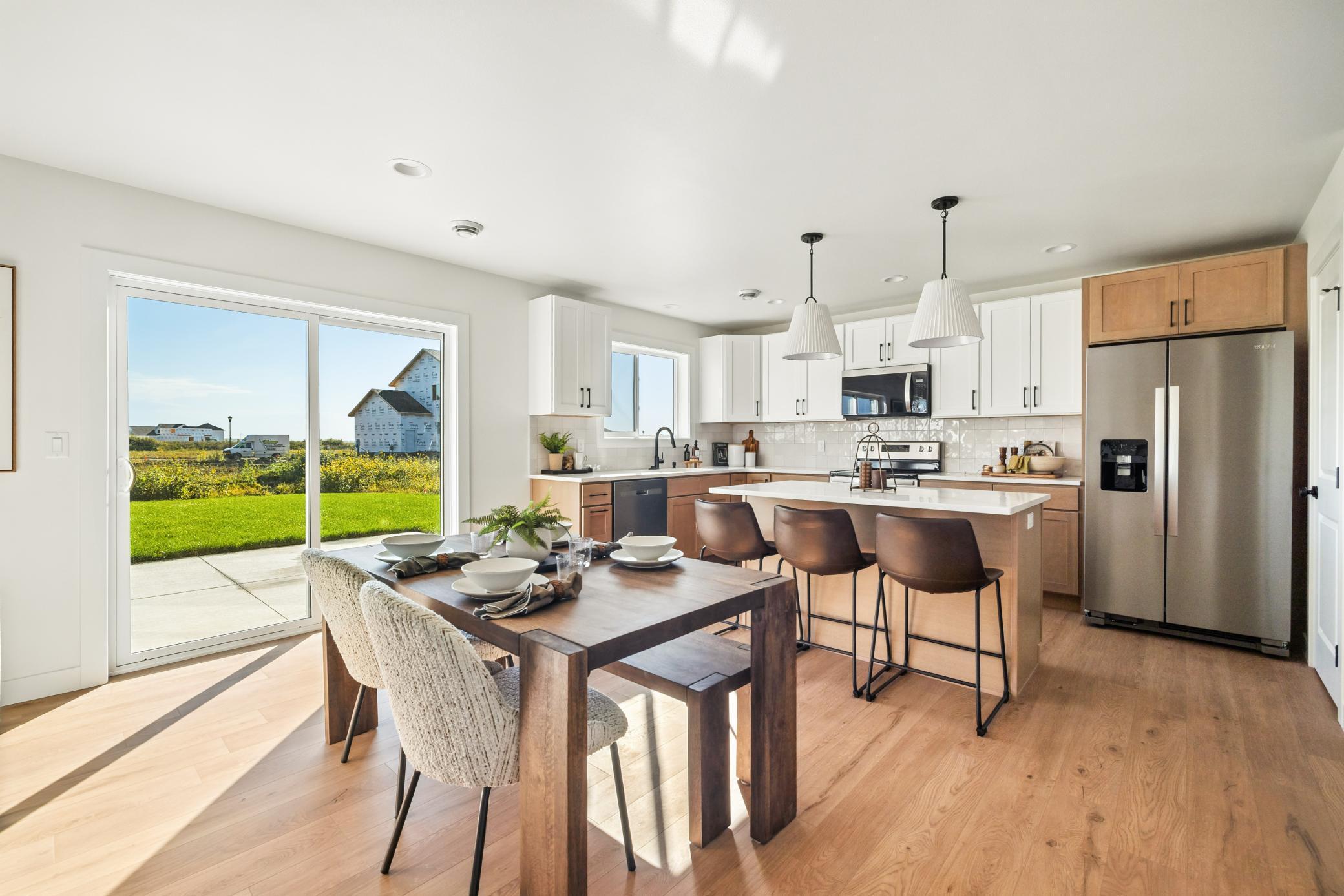 4 Previous model.jpg