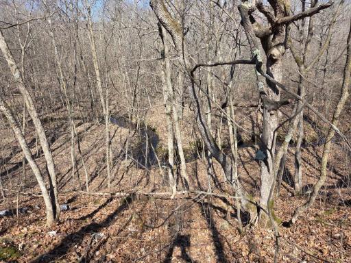 51948 River Road, Rush City, MN 55069