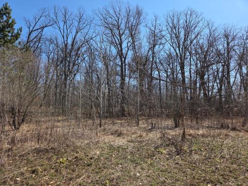 51948 River Road, Rush City, MN 55069