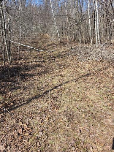 51948 River Road, Rush City, MN 55069